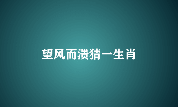 望风而溃猜一生肖