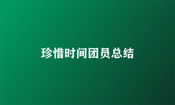 珍惜时间团员总结