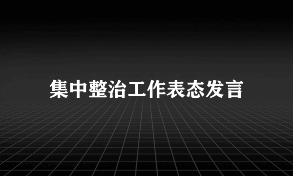 集中整治工作表态发言