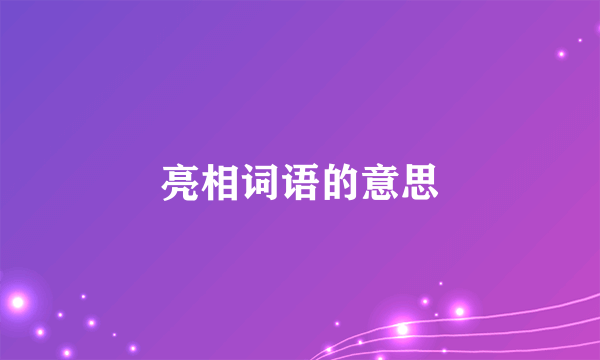 亮相词语的意思