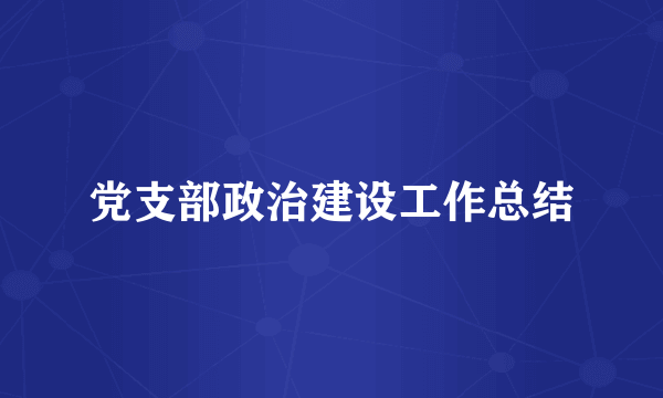 党支部政治建设工作总结