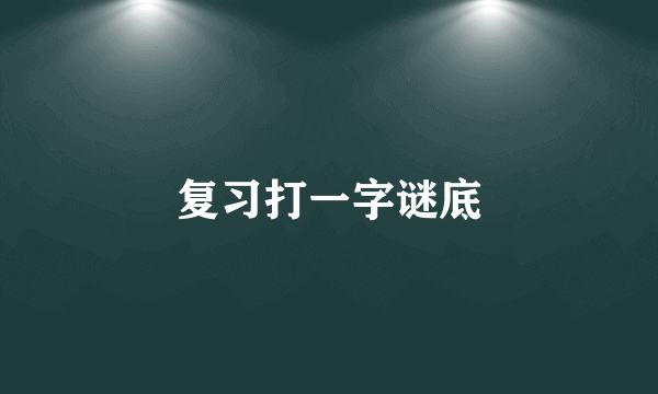 复习打一字谜底
