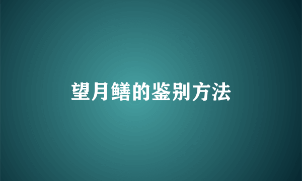 望月鳝的鉴别方法