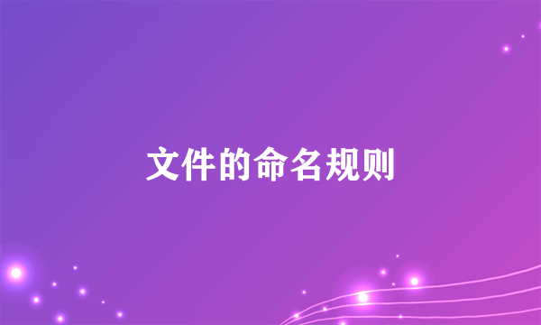文件的命名规则