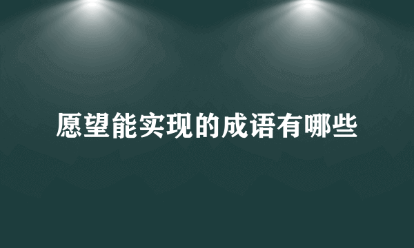 愿望能实现的成语有哪些