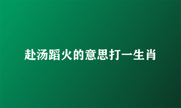 赴汤蹈火的意思打一生肖