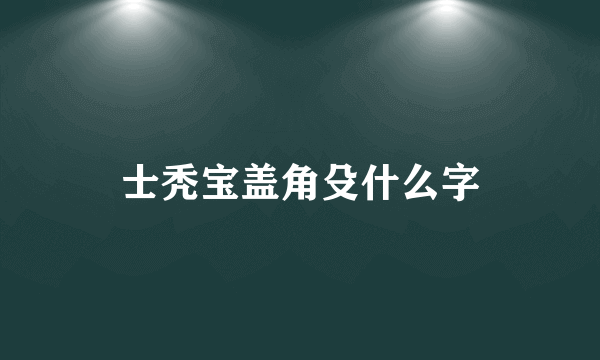 士秃宝盖角殳什么字
