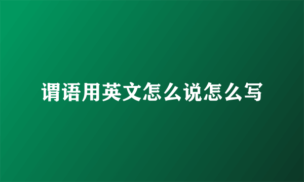 谓语用英文怎么说怎么写