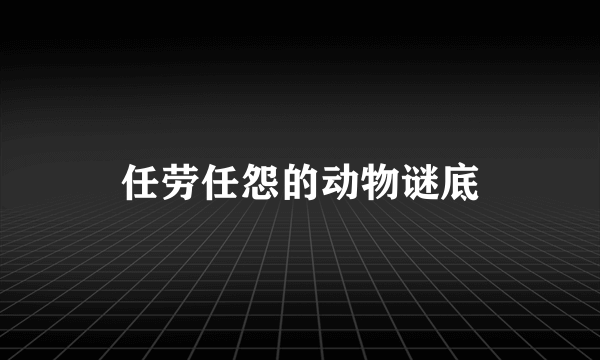 任劳任怨的动物谜底