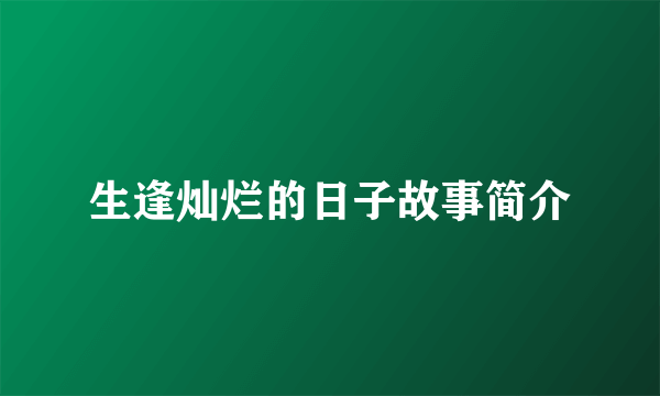 生逢灿烂的日子故事简介