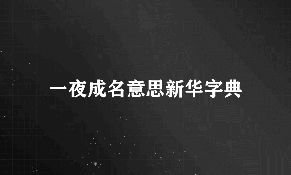 一夜成名意思新华字典