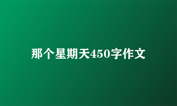 那个星期天450字作文