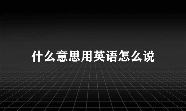 什么意思用英语怎么说