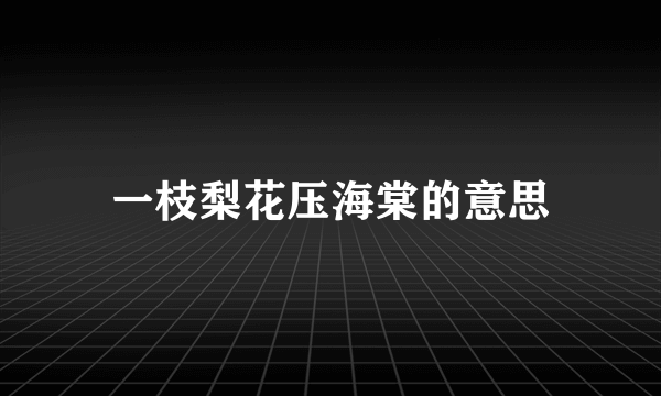 一枝梨花压海棠的意思