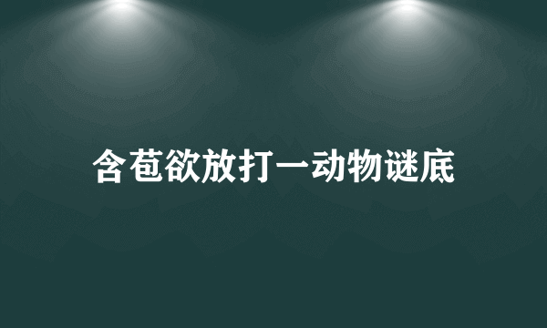 含苞欲放打一动物谜底