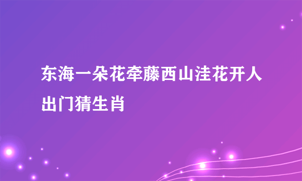 东海一朵花牵藤西山洼花开人出门猜生肖