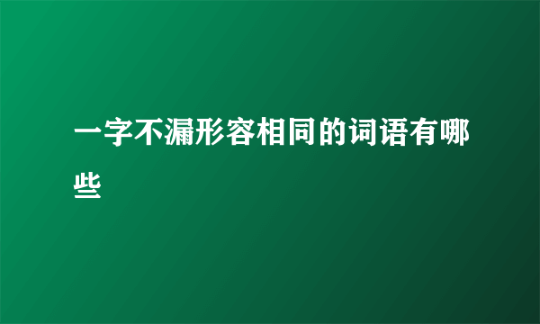 一字不漏形容相同的词语有哪些