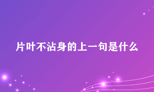 片叶不沾身的上一句是什么