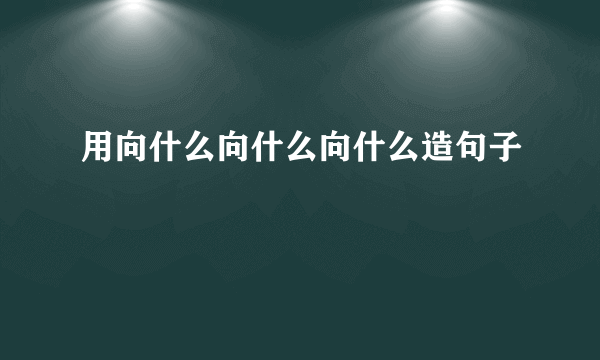 用向什么向什么向什么造句子