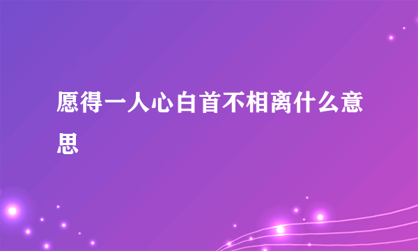 愿得一人心白首不相离什么意思