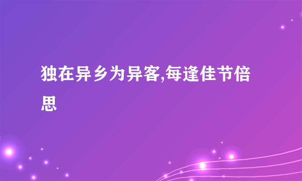 独在异乡为异客,每逢佳节倍思