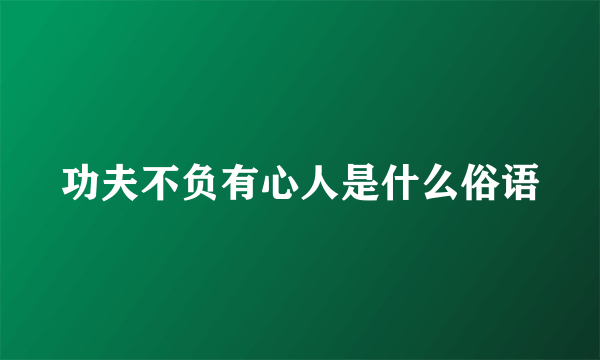 功夫不负有心人是什么俗语