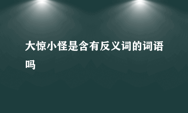大惊小怪是含有反义词的词语吗
