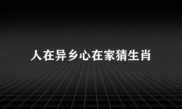 人在异乡心在家猜生肖