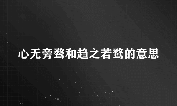 心无旁骛和趋之若鹜的意思