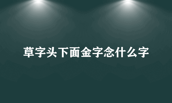 草字头下面金字念什么字