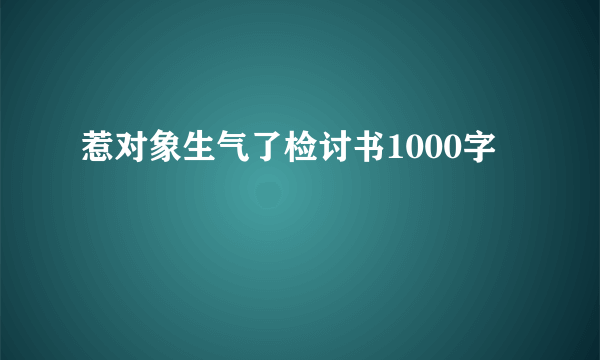 惹对象生气了检讨书1000字