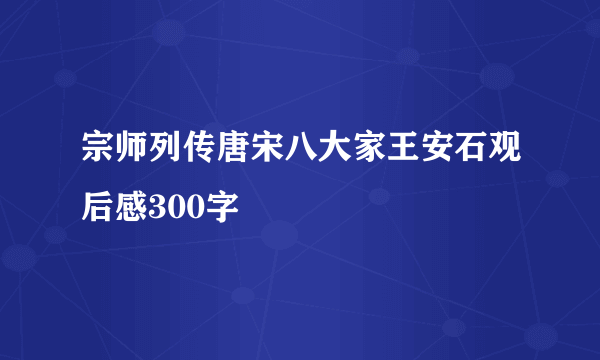 宗师列传唐宋八大家王安石观后感300字