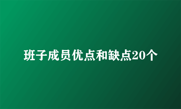 班子成员优点和缺点20个