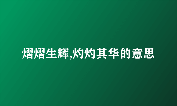 熠熠生辉,灼灼其华的意思