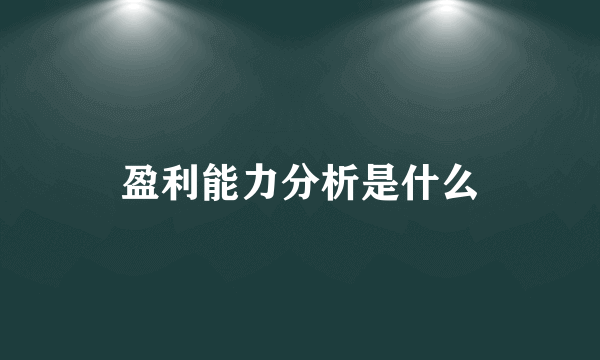 盈利能力分析是什么