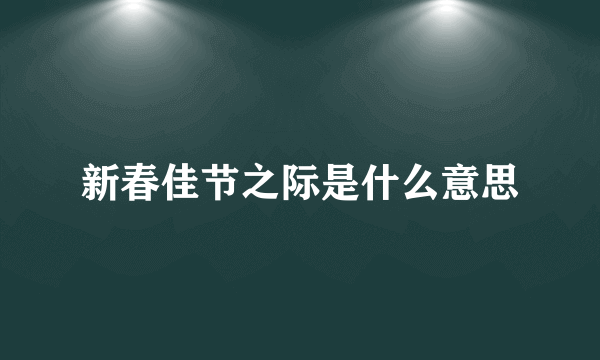 新春佳节之际是什么意思