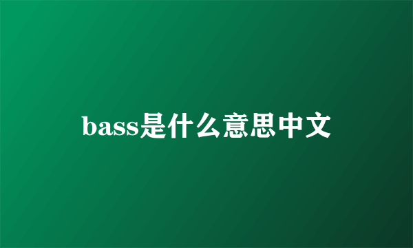 bass是什么意思中文