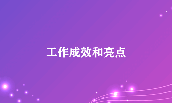 工作成效和亮点