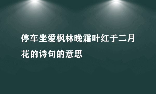 停车坐爱枫林晚霜叶红于二月花的诗句的意思