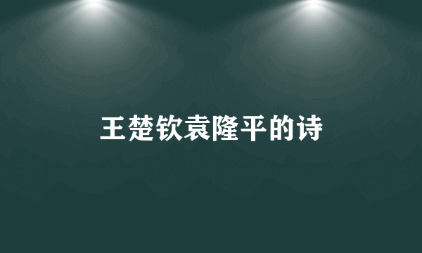 王楚钦袁隆平的诗