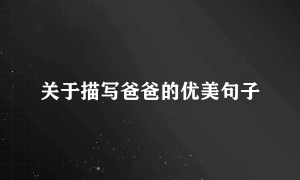关于描写爸爸的优美句子