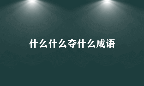 什么什么夺什么成语