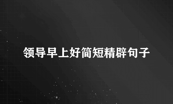 领导早上好简短精辟句子
