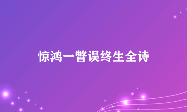 惊鸿一瞥误终生全诗