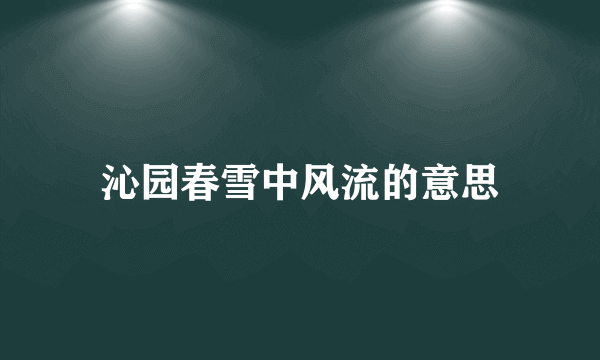 沁园春雪中风流的意思