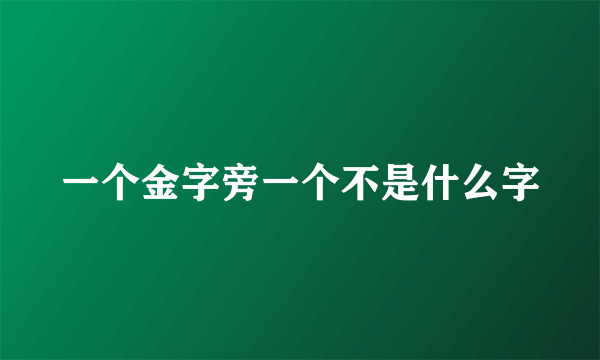 一个金字旁一个不是什么字