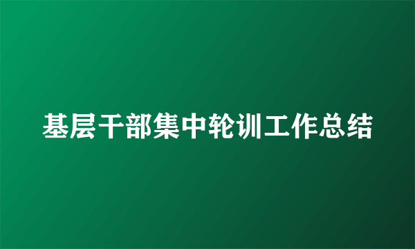 基层干部集中轮训工作总结