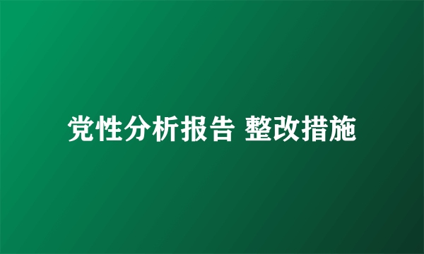 党性分析报告 整改措施