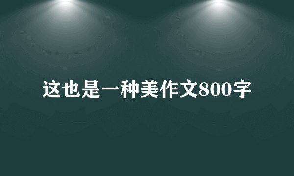 这也是一种美作文800字