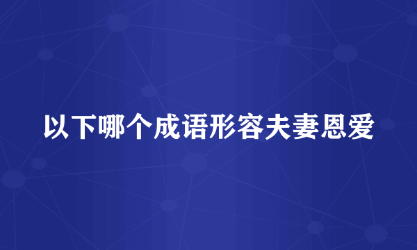 以下哪个成语形容夫妻恩爱